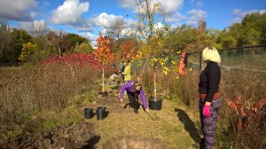 WP_20151017_11_10_40_Pro